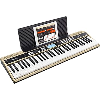 Roland　JUSTY Amazon | ROLAND JUSTY HK-100 ハーモニー＆リズム練習用